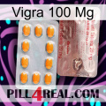 Vigra 100Mg new13